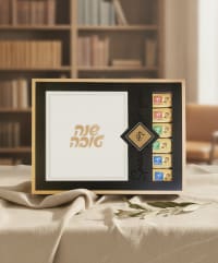 תמונה 1