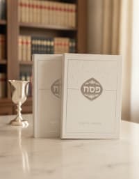 תמונה 1
