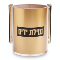 תמונה 4