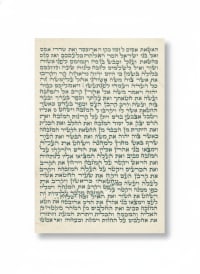 תמונה 4