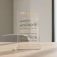 תמונה 3