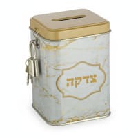 תמונה 4