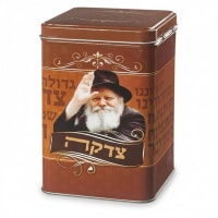 תמונה 4