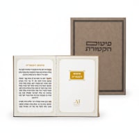 תמונה 4