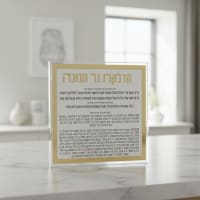 תמונה 3