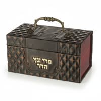 תמונה 4
