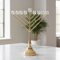 תמונה 3