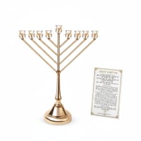 תמונה 4