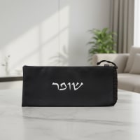 תמונה 3