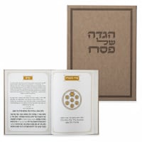 תמונה 4