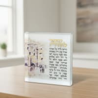 תמונה 3
