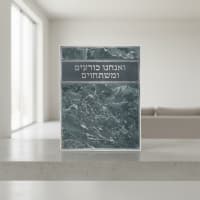 תמונה 3
