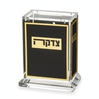 תמונה 4