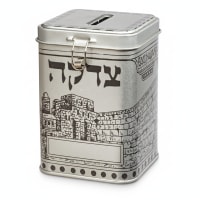 תמונה 4