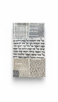 תמונה 4