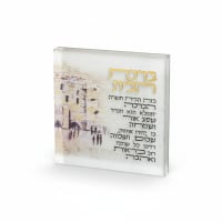 תמונה 4
