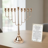 תמונה 3