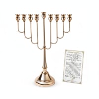 תמונה 4