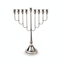 תמונה 3