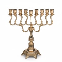 תמונה 3
