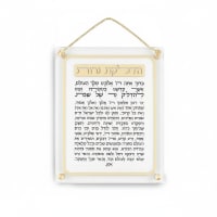 תמונה 3