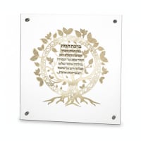 תמונה 3