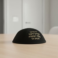 תמונה 1
