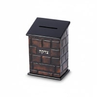 תמונה 3