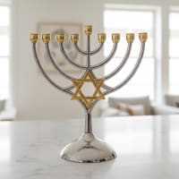 תמונה 1