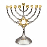 תמונה 3
