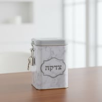 תמונה 1