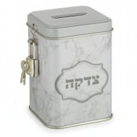 תמונה 3