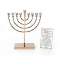 תמונה 3