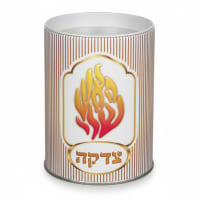 תמונה 3
