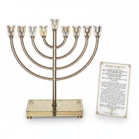 תמונה 3