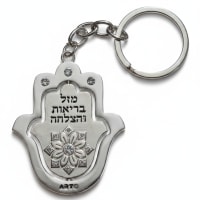 תמונה 3