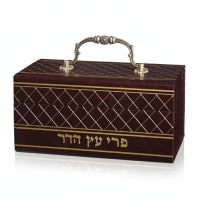 תמונה 3