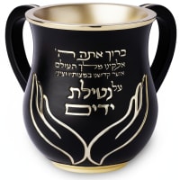 תמונה 3