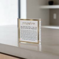 תמונה 1