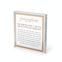 תמונה 3