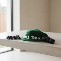 תמונה 1