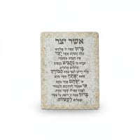 תמונה 3