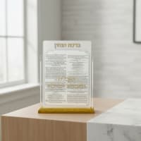 תמונה 1