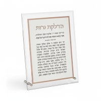 תמונה 3