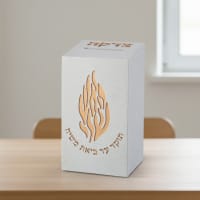תמונה 1