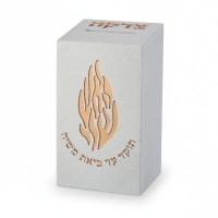 תמונה 3