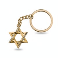 תמונה 3
