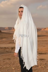תמונה 1