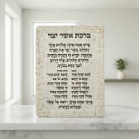 תמונה 1