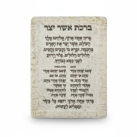 תמונה 3